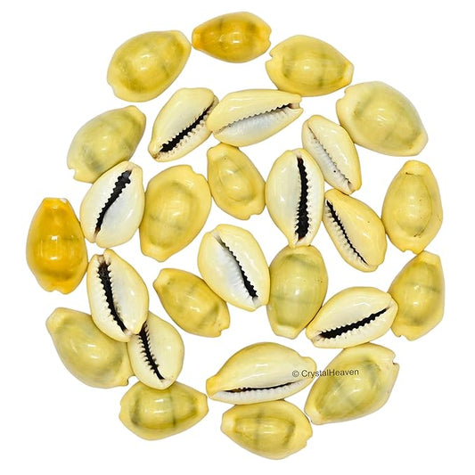 Original Pili kodi